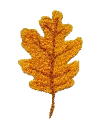 oak leaf
